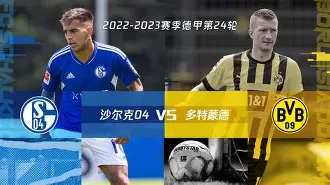 沙尔克队经历连败，主教练面临压力的简单介绍